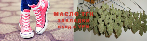 тгк Дмитриев