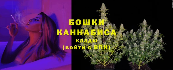 тгк Дмитриев