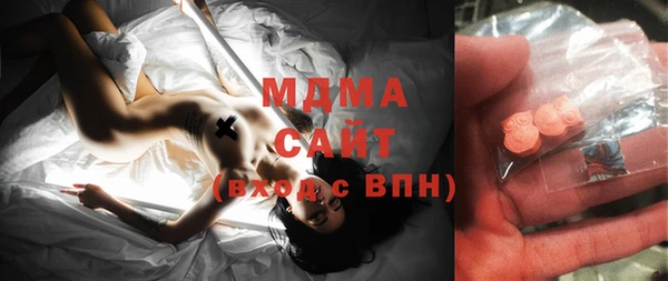 тгк Дмитриев