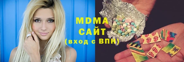 тгк Дмитриев