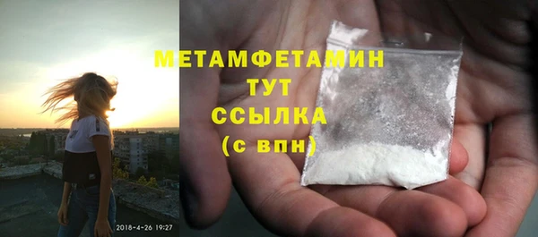 тгк Дмитриев