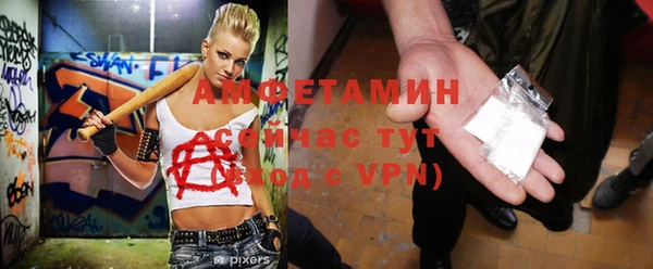 тгк Дмитриев